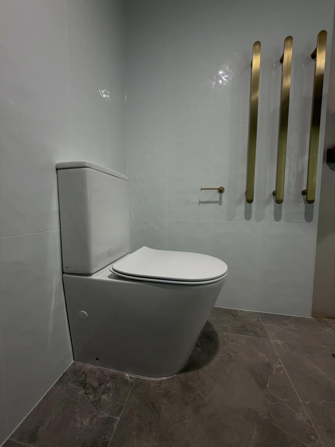 Back-to-wall toilet with brass towel bars in the background